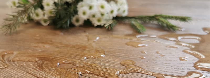 chem-pergo-laminat-otlichaetsya-ot-drugikh-plyusy-i-osobennosti-3.jpg chem-pergo-laminat-otlichaetsya-ot-drugikh-plyusy-i-osobennosti-3.jpg